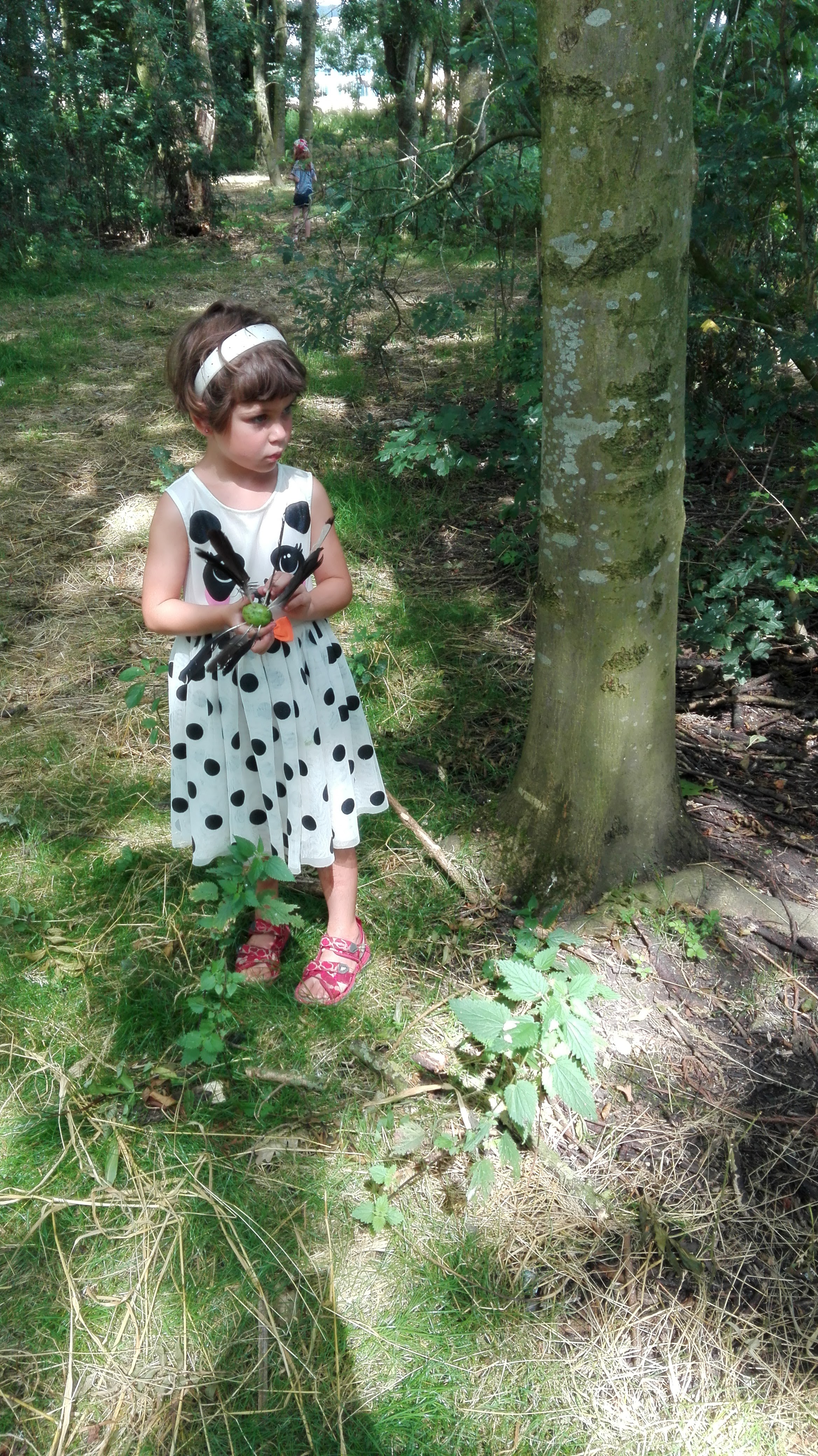 Zeldzame panda gespot in het bos